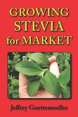 Growing Stevia for Market